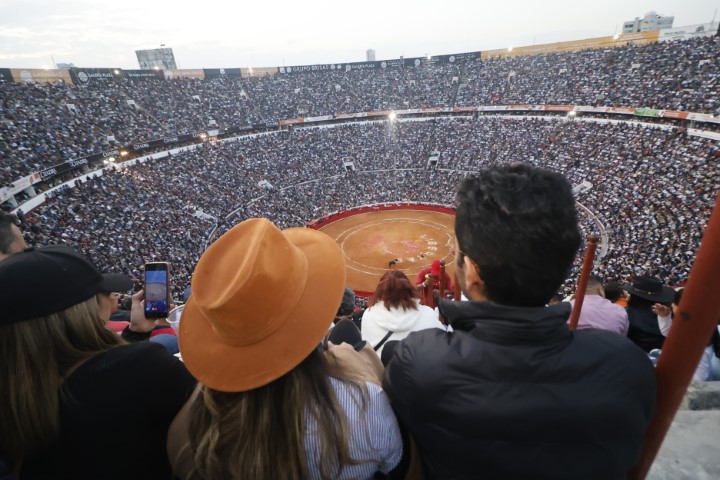  Con nueva legislación, inviable celebrar eventos taurinos.